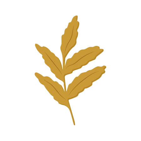 autumn botanical illustration of a branch with rowan leavesのイラスト素材