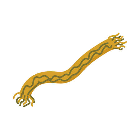 warm cozy yellow scarf fashionable longのイラスト素材