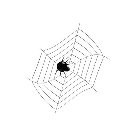 spider web halloween holiday design of postcards postersのイラスト素材