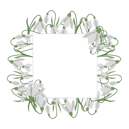 A frame of snowdrops for your design. First spring flowers. Square frame. Vector illustration.のイラスト素材