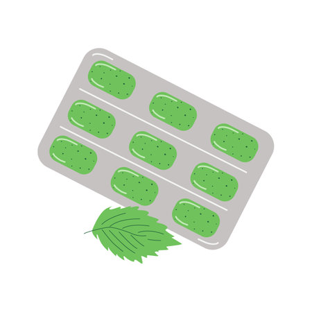 Mint flavor chewing gum. Fresh breath, hygiene. Packaging with gum. Vector flat illustration.のイラスト素材