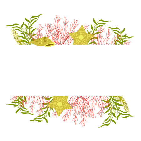Frames made of summer elements white background. Marine theme. Seashell, green algae, corals. Design of a poster, banner, postcard. Vector illustrationのイラスト素材