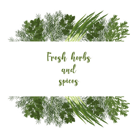 Fresh greens frame concept of healthy eating. Onion dill and parsley. Menu design cafe, restaurant, flyer, poster. Vector illustration.のイラスト素材