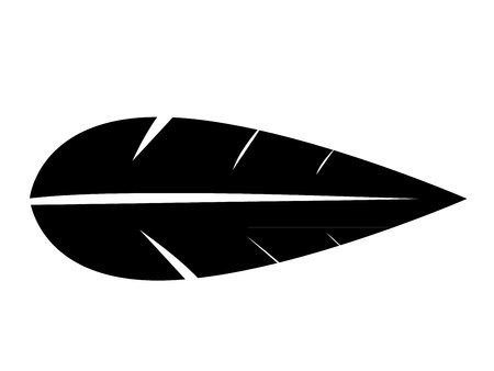 isolated black leafのイラスト素材