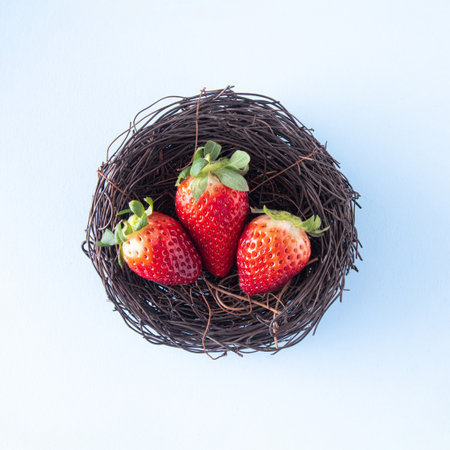 Strawberries in a birds nest. Creative concept for Easter on a light blue backgroundの写真素材