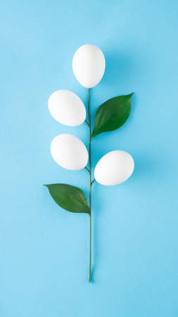 Twig with white eggs and green leaves on a blue background. Minimal creative concept for Easterの写真素材