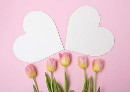 Two white heart like message papers and tulips on  pink background. Romantic conceptの写真素材