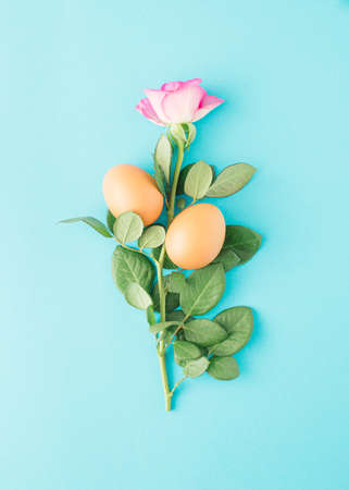 Branch of pink roses and eggs on bright blue background. Minimal Easter conceptの写真素材