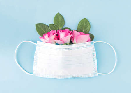 Pink roses covered with a medical mask on bright blue background.  Minimal corona concept
