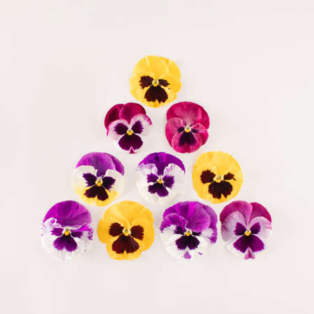 Violet tricolore flowers arranged in a triangle on a white background.