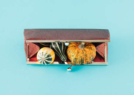Red womenâ€™s festive purse full of different pumpkins. Minimal Halloween concept on a blue...