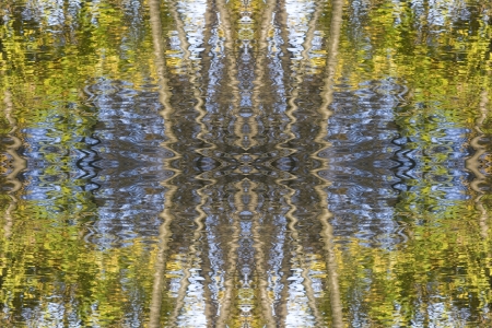 Abstract water and leaves Indian summer wallpaper の写真素材