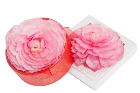 Two gift boxes with flowers on top isolated on white