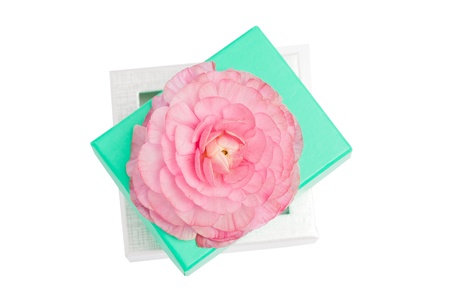 Two gift boxes piled with a bud on top isolated on whiteの写真素材