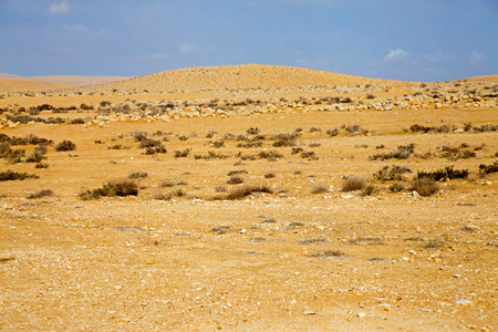 Desert landscape in gold and blue colorsの写真素材