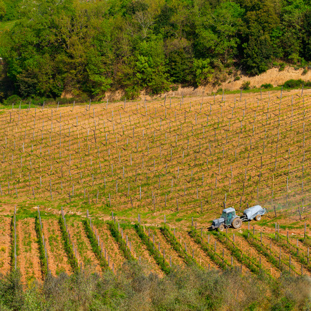 Field engine operating in the vineyard at springの写真素材