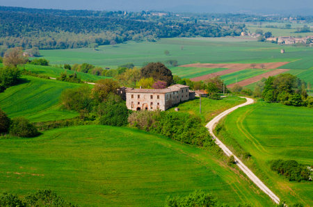 Green rural landscape with a deserted manor among the fieldsの写真素材