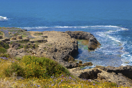 View of the sea from high rocky shore with meadow flowers and scarce ancient ruinsの写真素材