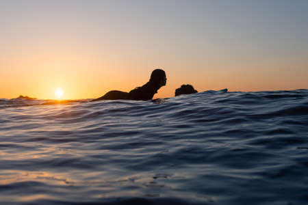 Low angle view of a surfer girl seen from behind. Paddling on a board in the waterの写真素材