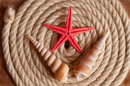 Aged Rope and seashell on the old paper backgroundの写真素材