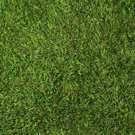 Close-up image of fresh, beautiful natural green grass textureの写真素材