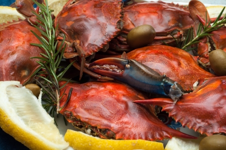 Dish with cooked crabs and lemon, olive and rosemaryの写真素材
