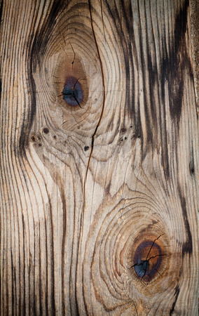 High resolution picture of natural wood backgroundの写真素材