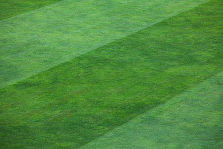 Vibrant green grass filling a field.  The grass is divided into thick vertical lines with one line containing a deep shade of green grass and the other line a lighter shade.の写真素材