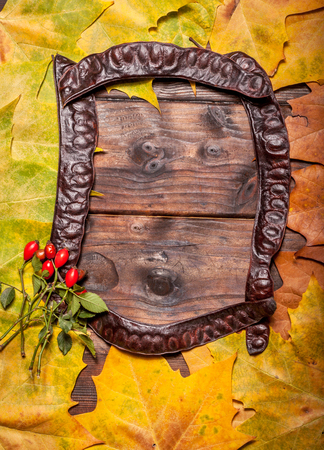 Vintage autumn fallen leaves frames on the old wooden tableの写真素材