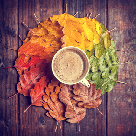 Coffee cup on the autumn leaves and old wooden table background. Top view with copy spaceの写真素材
