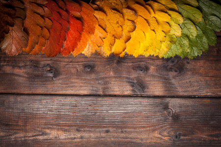 Vintage autumn fallen leaves on the old wooden table. Copy spaceの写真素材