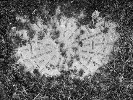 Trap door behind the undergrowth black and white photoの写真素材