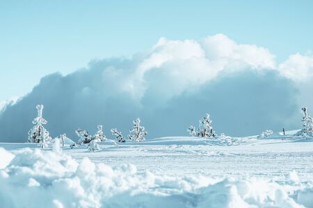 Wonderland scene of a beautiful Winter Landscape with snow covered Trees for backgroudの写真素材