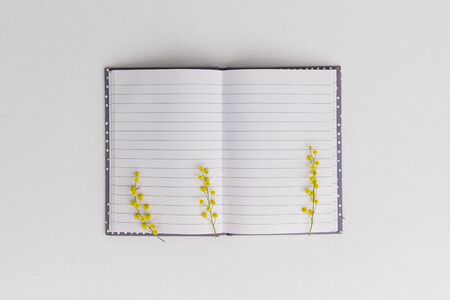 Top view Open notebook with blank pages with beautiful Yellow mimosa flowers on white Light Background. Life, business, office supplies or education concept. (2)の写真素材