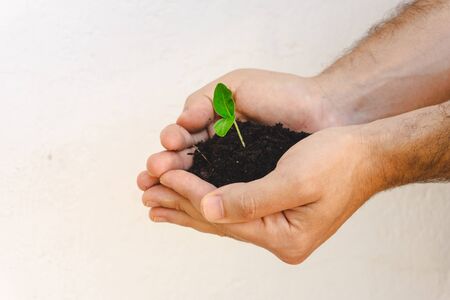 Man holding a small growing plant and soil. Eco friendly and natural concept. Love and care. Close...