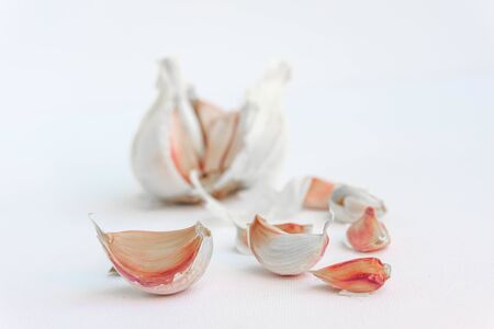 Beautiful, organic and raw garlic cloves and bulbs isolated on white. Selective Focus, close up...