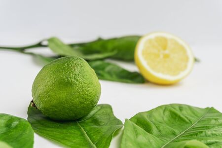 Lime close up view with some lemon tree leaves on the background and a lemon isolated on white. Fresh summer background.の写真素材