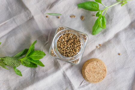 Coriander seeds, fresh green aromatic plant leaves on a relaxing colors background. Dry coriander spice for cooking. Food ingredients concept.の写真素材