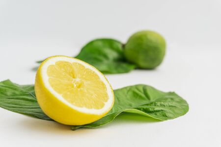 Half Organic Lemon and a lime with lemon tree leaves isolated on white. Fresh summer background, close up view.の写真素材