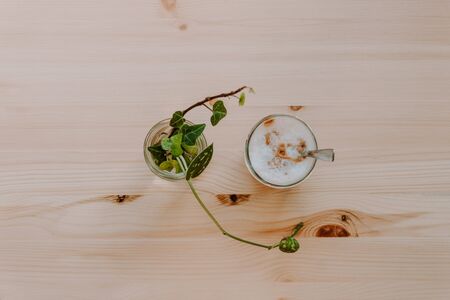 Coffee and green leaves plant. Relaxing workspace concept. Wood, plats and coffee. Light and clear space. Inspiring.の写真素材