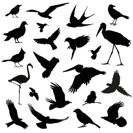 bird silhouette illustration setのイラスト素材