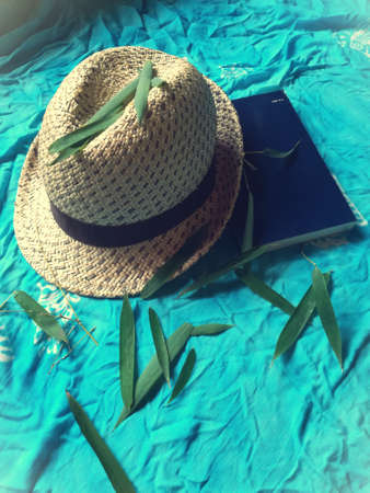 girly stuff. hat, book, leafの写真素材