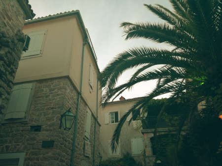 old town budva. old houses and palmの写真素材