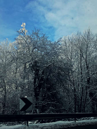cold winter. snow and trees