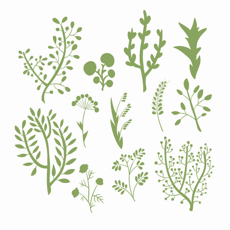 Set of hand-drawn silhouette of branches with flowers, leaves and berries. Vector graphics.のイラスト素材