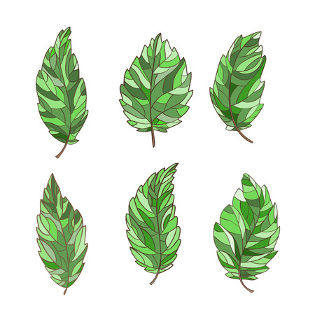 Set of decorative, abstract leaf, hand-drawn and painted.のイラスト素材