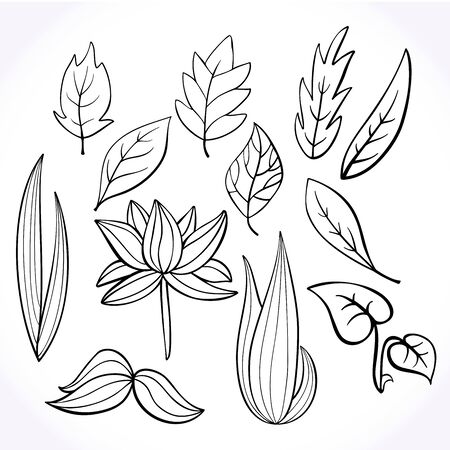Set of hand-drawn doodle floral elements. Doodle botanical elements.Vector graphics.のイラスト素材