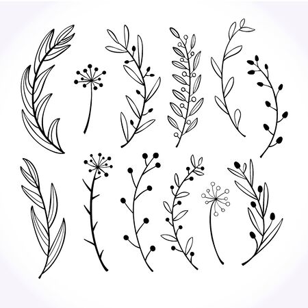 Set of hand-drawn doodle floral elements. Doodle botanical elements.Vector graphics.のイラスト素材