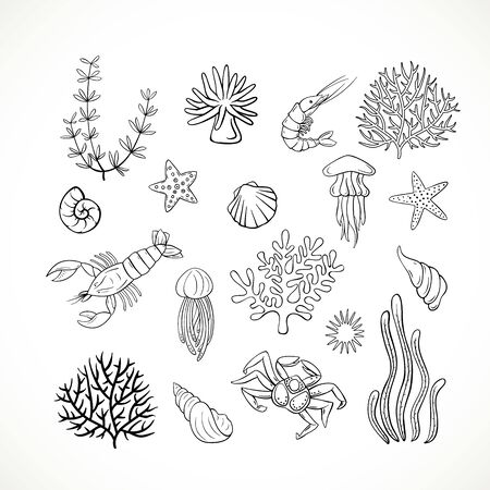 Set of hand-drawn Sea life. Doodle marine life set.のイラスト素材