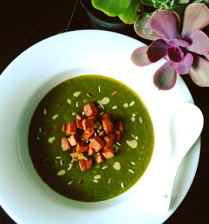 Spinach/broccoli potageの写真素材